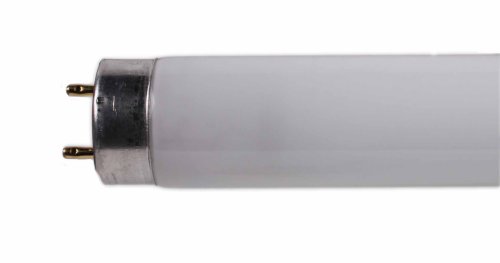 Philips Master TL-D Super 80 18W 827 Incandescent White 590mm 63162640